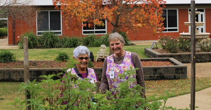 The Lavender Legends of Lourdes