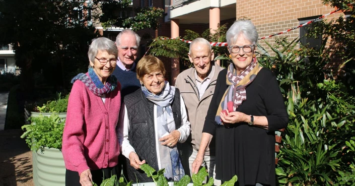 Village Green - The thriving vegetable garden at The Brighton