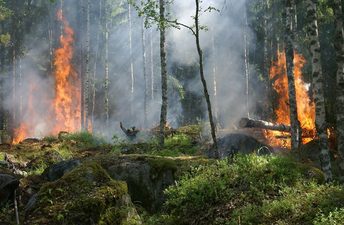 Hot tips to keep cool this bushfire season